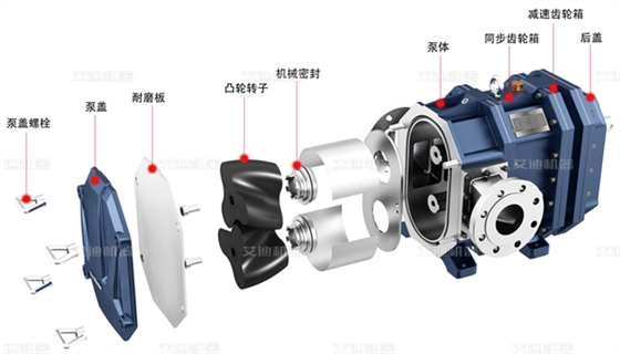 彈性體凸輪轉(zhuǎn)子泵的結(jié)構(gòu)與特點