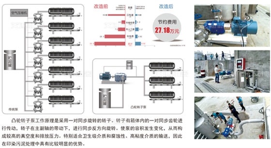 印染領(lǐng)域板框壓濾機(jī)上料泵.png