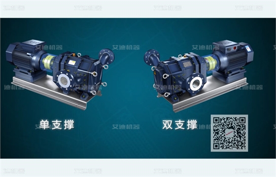 凸輪轉(zhuǎn)子泵分單支撐和雙支撐.jpg