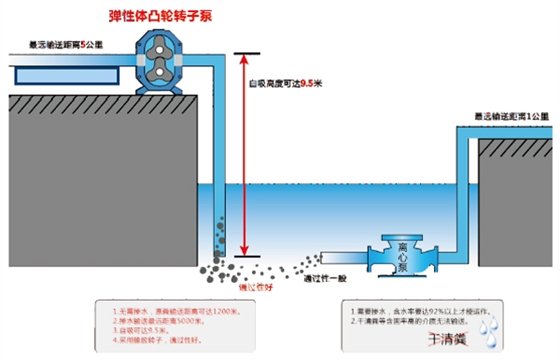 自吸轉(zhuǎn)子泵示意圖.jpg