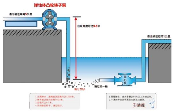凸輪轉子泵自吸實驗.jpg