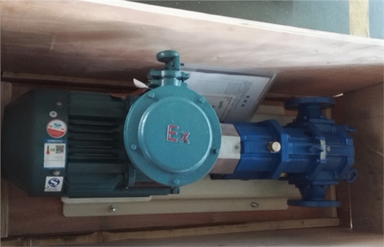 帶防爆電機(jī)的凸輪轉(zhuǎn)子泵.jpg