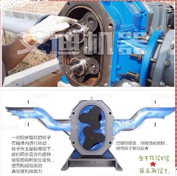 萬能輸送泵.jpg