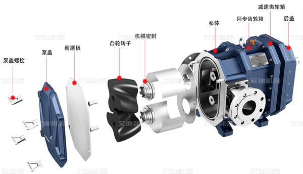 彈性體凸輪轉(zhuǎn)子泵的結(jié)構(gòu)與特點