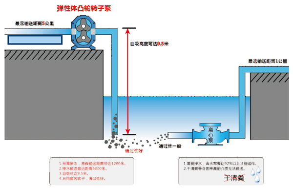 自吸轉(zhuǎn)子泵示意圖.jpg