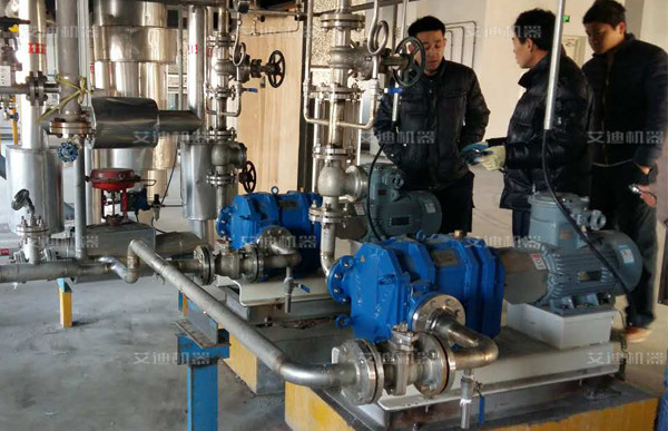 凸輪轉(zhuǎn)子泵帶防爆電機.jpg
