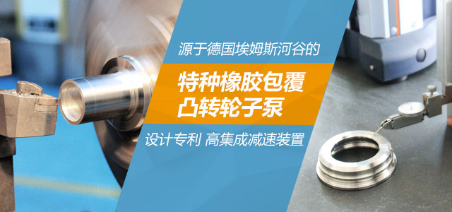 艾迪凸輪轉(zhuǎn)子泵