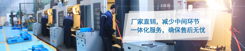 凸輪轉(zhuǎn)子泵廠家