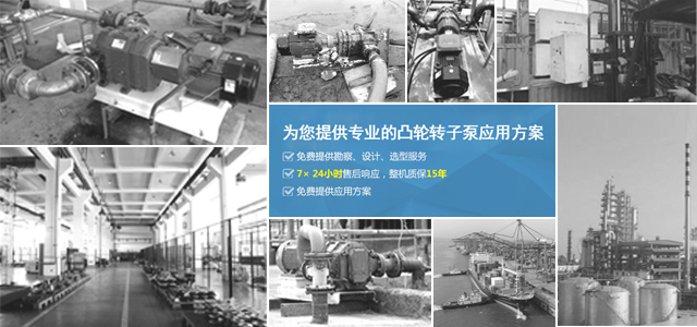 凸輪轉(zhuǎn)子泵制造商